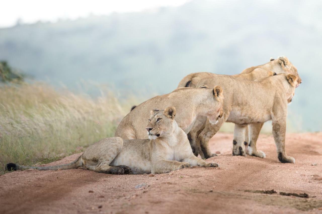 Taasa Lodge Serengeti Bagian luar foto