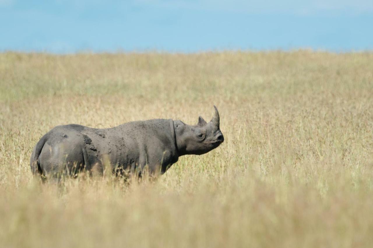 Taasa Lodge Serengeti Bagian luar foto
